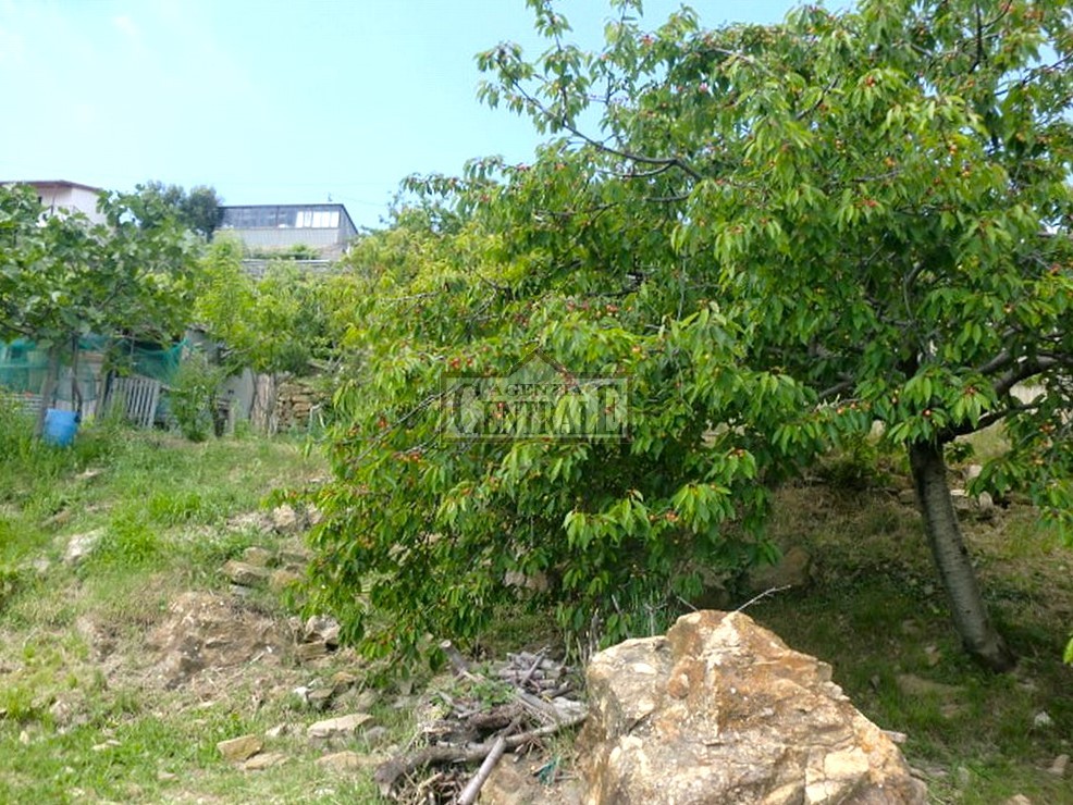 Agenzia Immobiliare Centrale Sanremo
